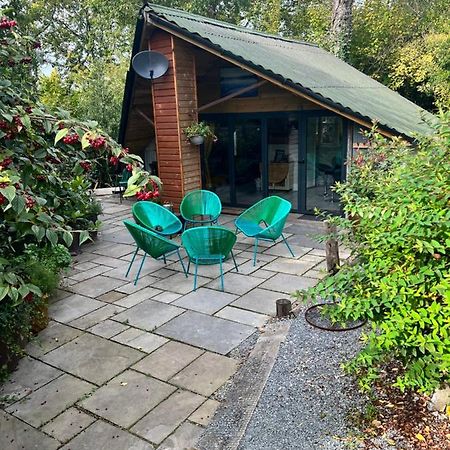 The Shed . A Cosy, Peaceful, 96% Recycled, Chalet. Swansea Exterior foto